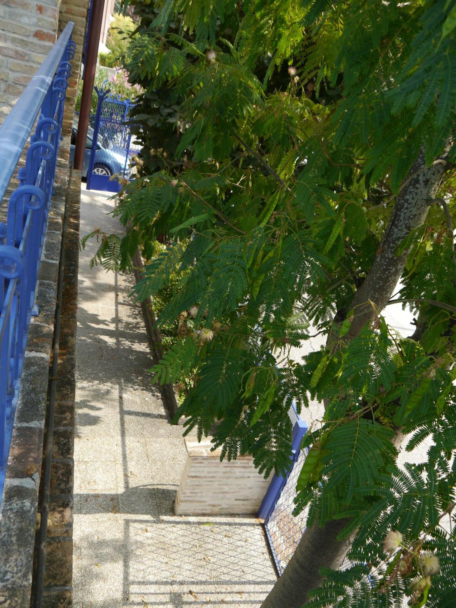 La Casa Della Cicogna Una Casa Al Mare Ideale Anche Per Gli Impegni Di Lavoro O Studio Villa Bellocchi Exterior foto